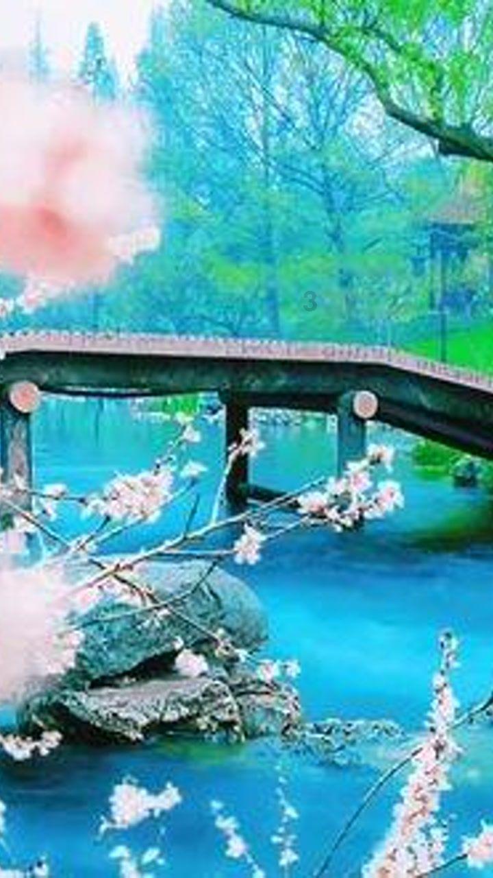 喝碳酸饮料对牙齿有什么危害？游戏画面